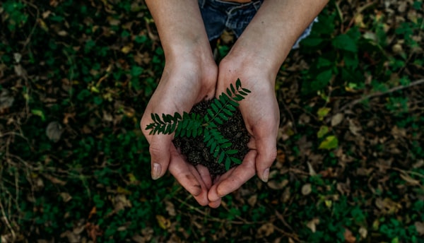 Zrównoważone zarządzanie środowiskiem naturalnym